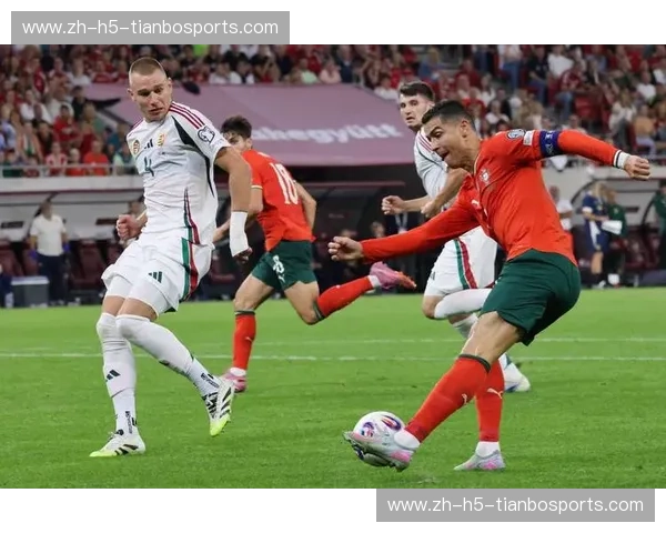 阿罗卡vs里斯本：一场葡萄牙足球的荣耀之战